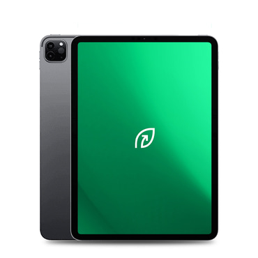 REBORN® Apple iPad Pro 11 2021 WiFi 256GB - C