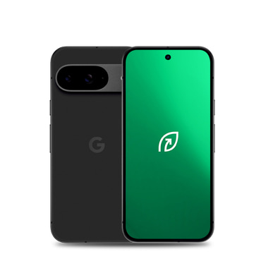 Google Pixel 9 128GB RESWAG® (C kategória)